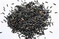 stinking nightshade، black henbane، بذر البنج